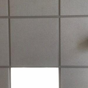 Meet your Posher, Preston